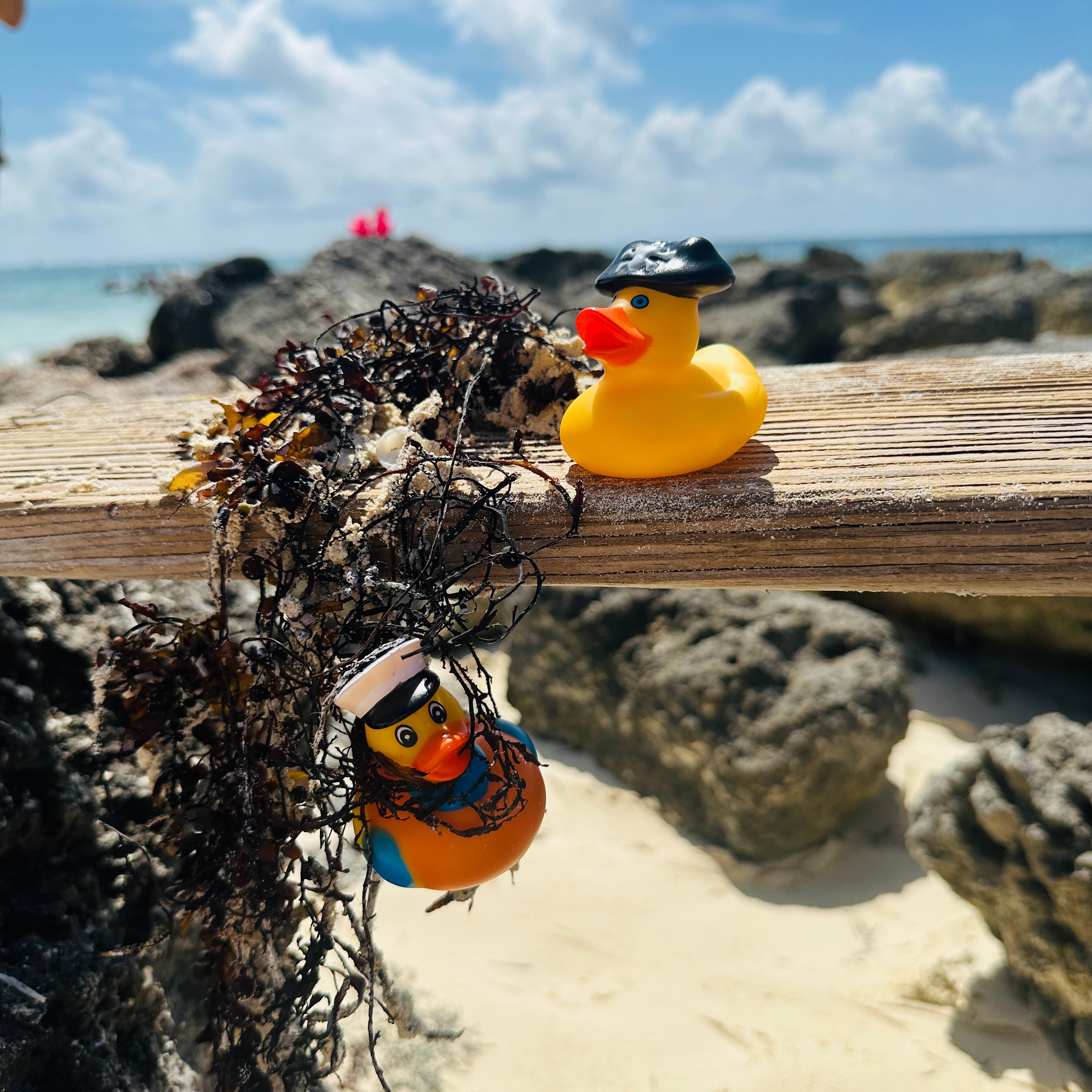 Lucky Ducks by BCSlots Cruises